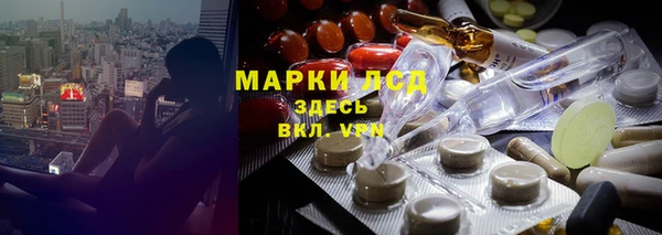 стаф Алзамай