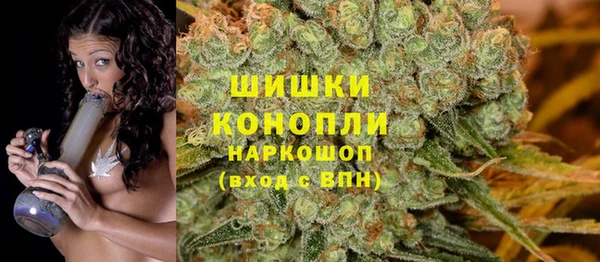 стаф Алзамай