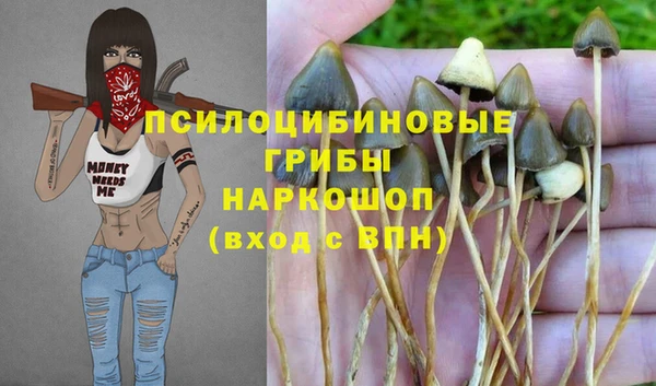 стаф Алзамай