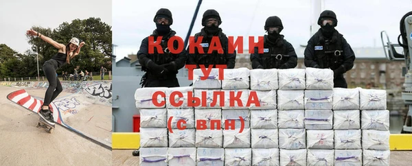 стаф Алзамай