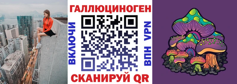 блэк спрут как войти  цены   Красноуральск  Галлюциногенные грибы Psilocybe 